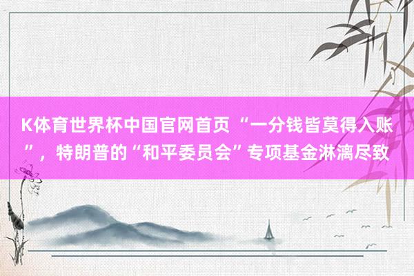 K体育世界杯中国官网首页 “一分钱皆莫得入账”，特朗普的“和平委员会”专项基金淋漓尽致