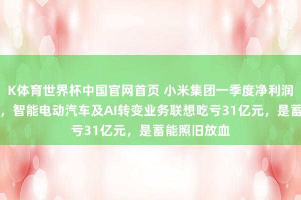 K体育世界杯中国官网首页 小米集团一季度净利润同比降43%，智能电动汽车及AI转变业务联想吃亏31亿元，是蓄能照旧放血
