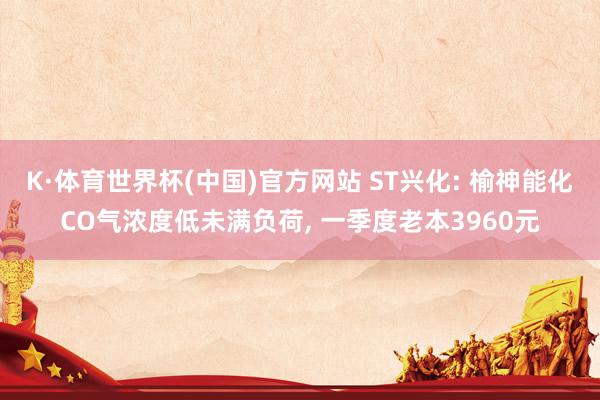 K·体育世界杯(中国)官方网站 ST兴化: 榆神能化CO气浓度低未满负荷, 一季度老本3960元