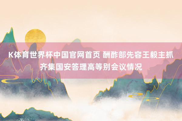 K体育世界杯中国官网首页 酬酢部先容王毅主抓齐集国安答理高等别会议情况