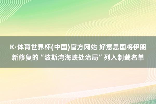 K·体育世界杯(中国)官方网站 好意思国将伊朗新修复的“波斯湾海峡处治局”列入制裁名单