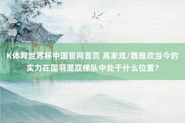 K体育世界杯中国官网首页 高家炫/魏雅欣当今的实力在国羽混双梯队中处于什么位置？