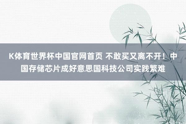 K体育世界杯中国官网首页 不敢买又离不开！中国存储芯片成好意思国科技公司实践繁难