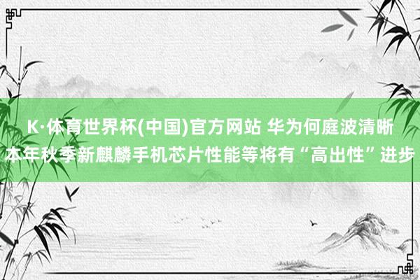 K·体育世界杯(中国)官方网站 华为何庭波清晰本年秋季新麒麟手机芯片性能等将有“高出性”进步