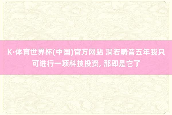 K·体育世界杯(中国)官方网站 淌若畴昔五年我只可进行一项科技投资, 那即是它了