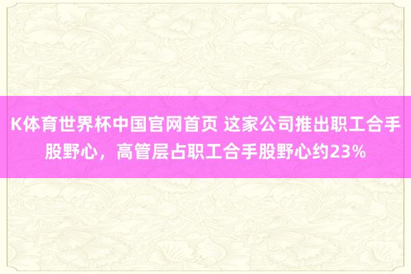 K体育世界杯中国官网首页 这家公司推出职工合手股野心，高管层占职工合手股野心约23%
