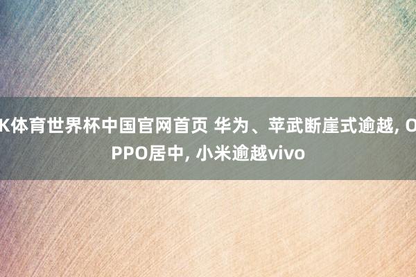 K体育世界杯中国官网首页 华为、苹武断崖式逾越， OPPO居中， 小米逾越vivo