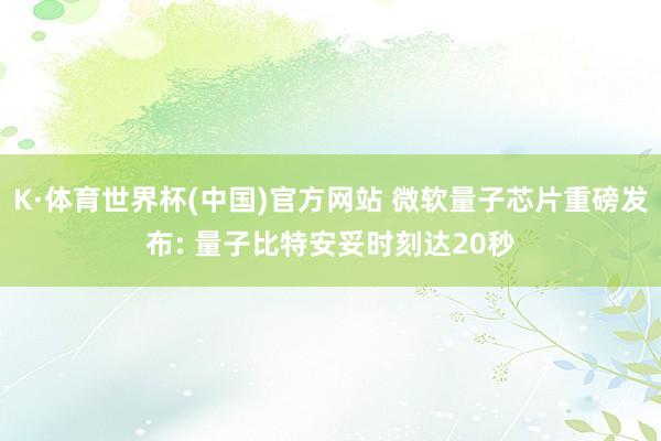 K·体育世界杯(中国)官方网站 微软量子芯片重磅发布: 量子比特安妥时刻达20秒