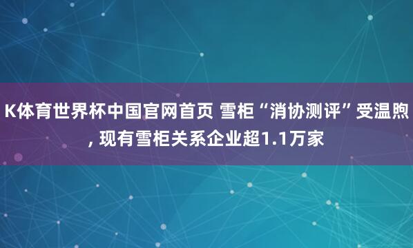 K体育世界杯中国官网首页 雪柜“消协测评”受温煦, 现有雪柜关系企业超1.1万家