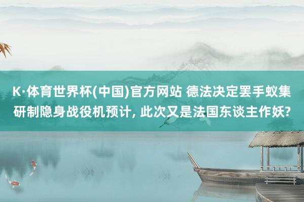 K·体育世界杯(中国)官方网站 德法决定罢手蚁集研制隐身战役机预计， 此次又是法国东谈主作妖?