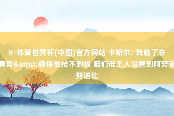 K·体育世界杯(中国)官方网站 卡斯尔: 我临了在卡唐斯&确保他抢不到板 咱们谁王人没看到阿努诺比