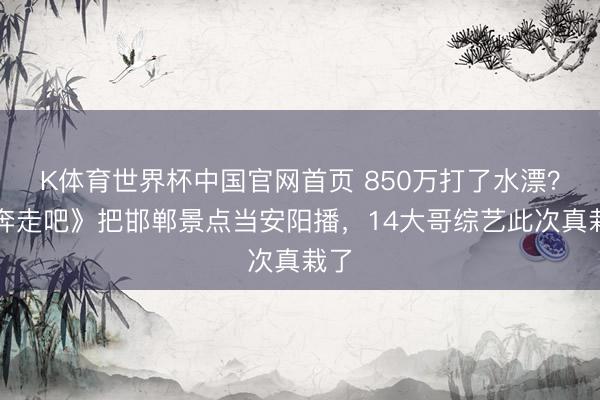 K体育世界杯中国官网首页 850万打了水漂？《奔走吧》把邯郸景点当安阳播，14大哥综艺此次真栽了