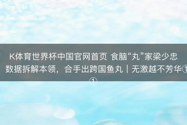 K体育世界杯中国官网首页 食脑“丸”家梁少忠:数据拆解本领,合手出跨国鱼丸|无激越不芳华①